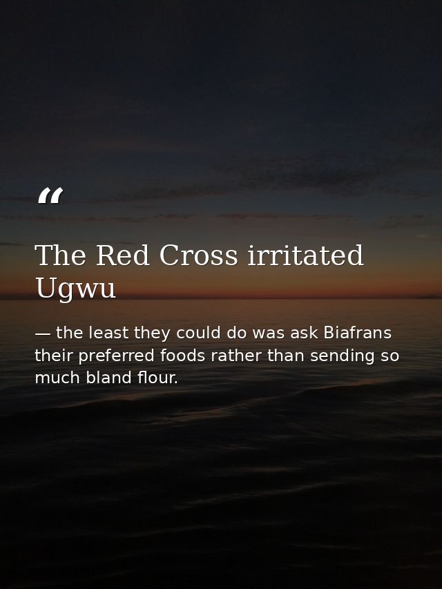 The Red Cross irritated Ugwu — the least they could do was ask Biafrans their preferred foods rather than sending so much bland flour.
