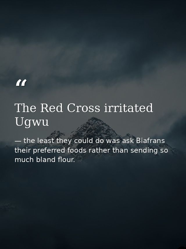 The Red Cross irritated Ugwu — the least they could do was ask Biafrans their preferred foods rather than sending so much bland flour.