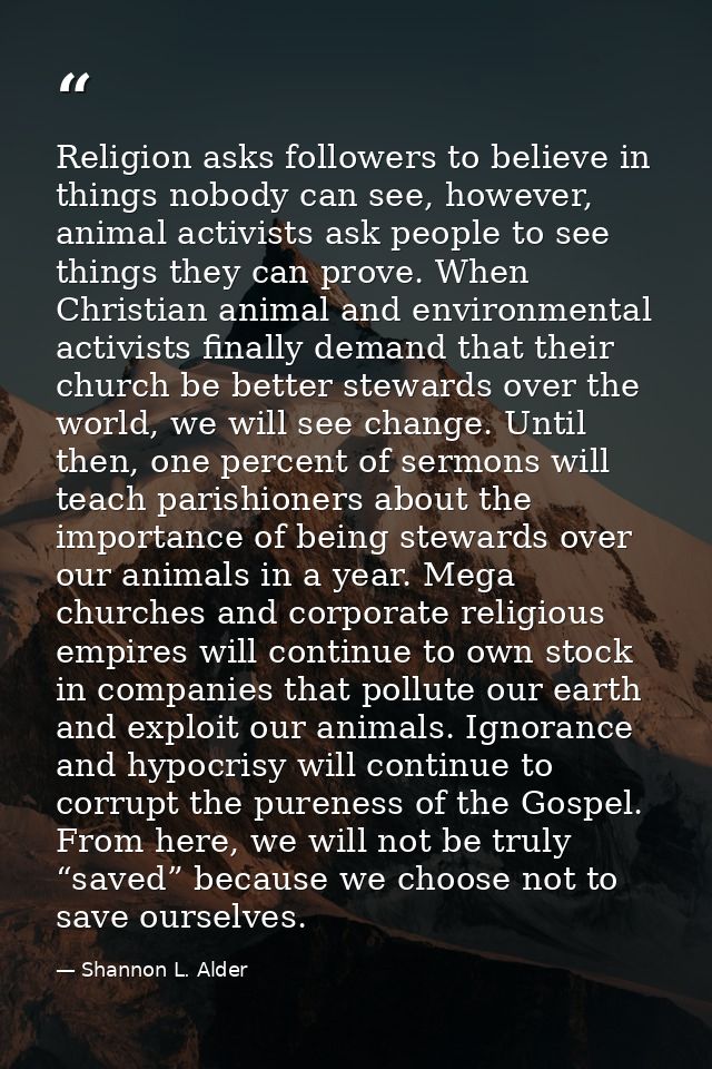 Religion asks followers to believe in things nobody can see, however, animal activists ask people to see things they can — Shannon L. Alder