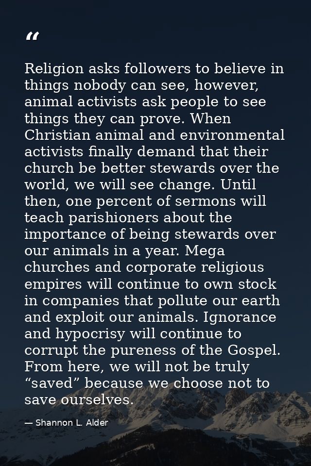 Religion asks followers to believe in things nobody can see, however, animal activists ask people to see things they can — Shannon L. Alder