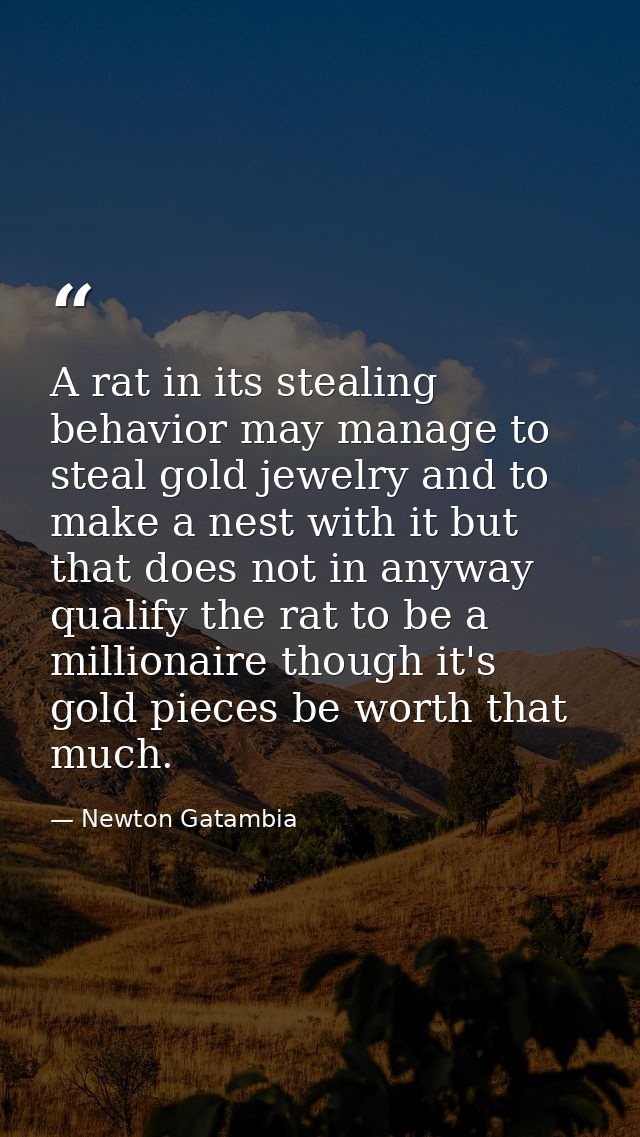 A rat in its stealing behavior may manage to steal gold jewelry and to make a nest with it but that does not in anyway q — Newton Gatambia