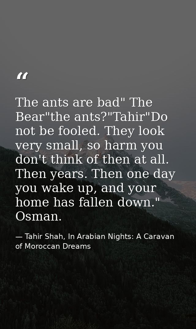 The ants are bad" The Bear"the ants?"Tahir"Do not be fooled. They look very small, so harm you don't think of then at al — Tahir Shah, In Arabian Nights: A Caravan of Moroccan Dreams