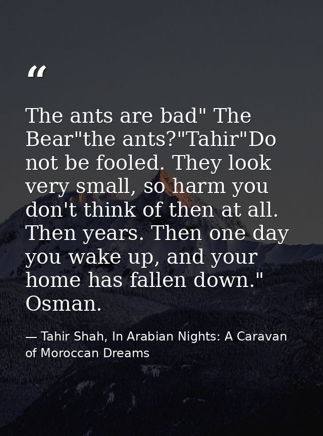 The ants are bad" The Bear"the ants?"Tahir"Do not be fooled. They look very small, so harm you don't think of then at al — Tahir Shah, In Arabian Nights: A Caravan of Moroccan Dreams