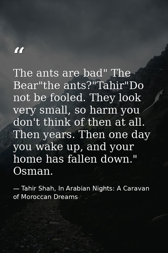 The ants are bad" The Bear"the ants?"Tahir"Do not be fooled. They look very small, so harm you don't think of then at al — Tahir Shah, In Arabian Nights: A Caravan of Moroccan Dreams