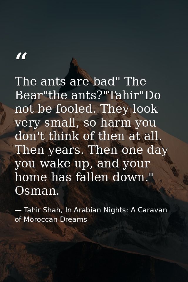 The ants are bad" The Bear"the ants?"Tahir"Do not be fooled. They look very small, so harm you don't think of then at al — Tahir Shah, In Arabian Nights: A Caravan of Moroccan Dreams