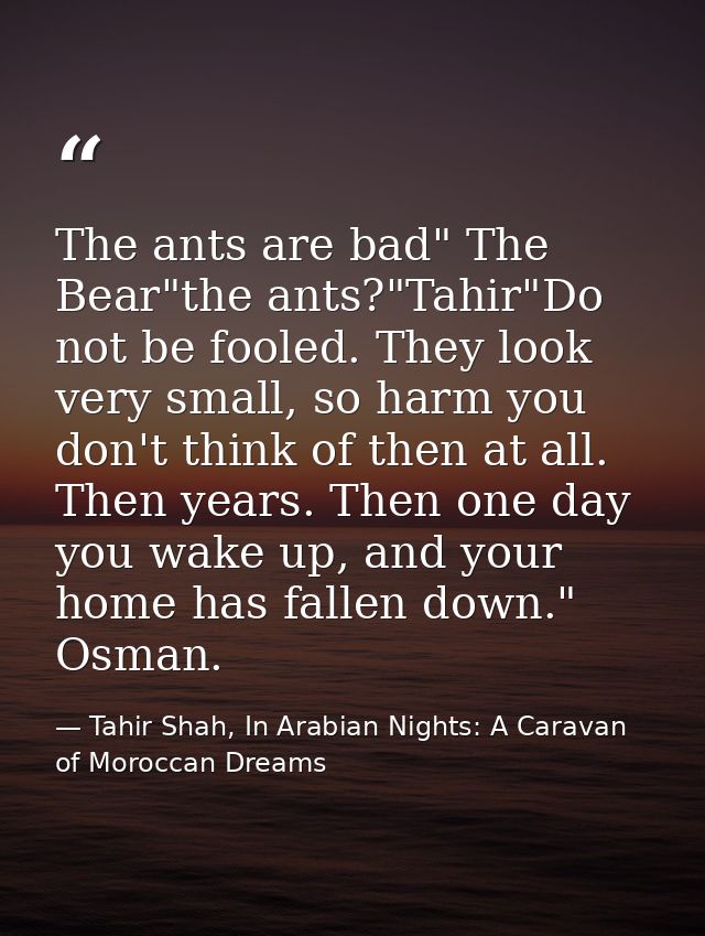 The ants are bad" The Bear"the ants?"Tahir"Do not be fooled. They look very small, so harm you don't think of then at al — Tahir Shah, In Arabian Nights: A Caravan of Moroccan Dreams