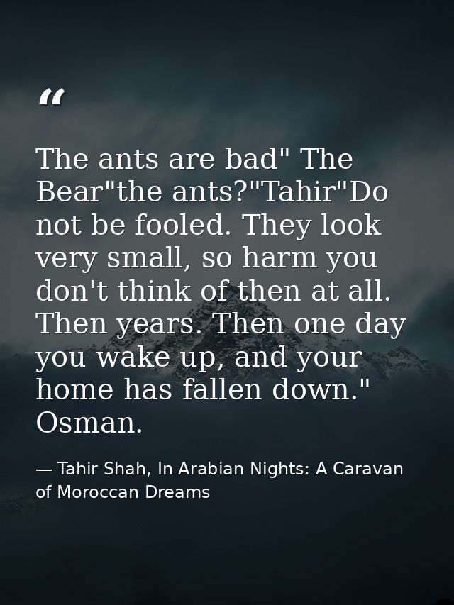 The ants are bad" The Bear"the ants?"Tahir"Do not be fooled. They look very small, so harm you don't think of then at al — Tahir Shah, In Arabian Nights: A Caravan of Moroccan Dreams