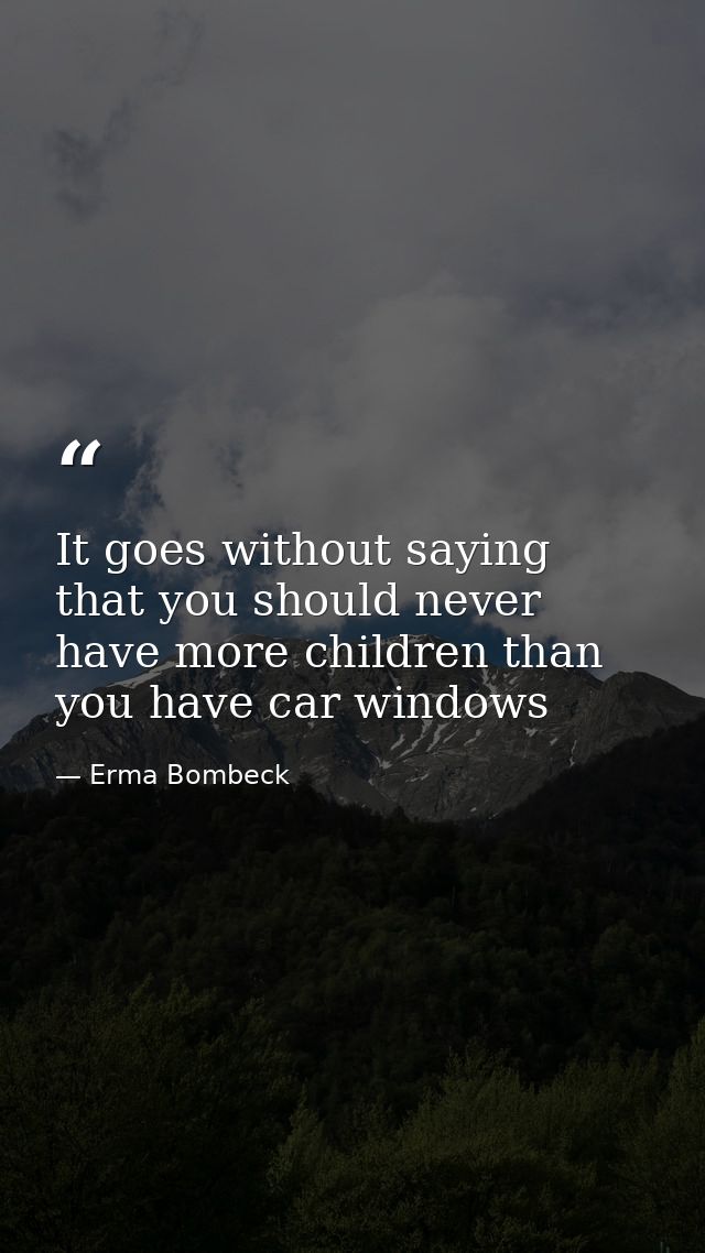 It goes without saying that you should never have more children than you have car windows — Erma Bombeck