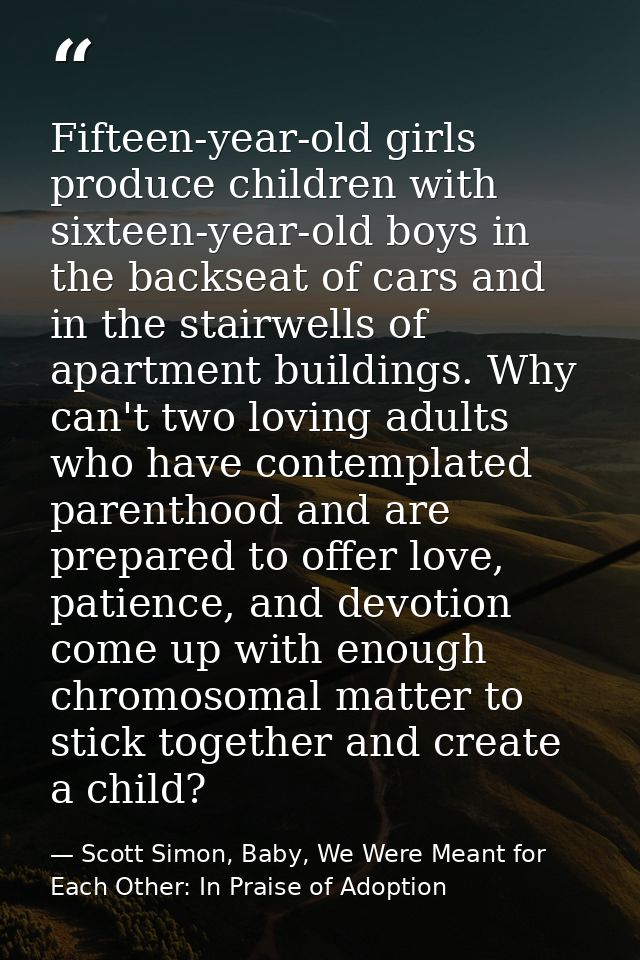 Fifteen-year-old girls produce children with sixteen-year-old boys in the backseat of cars and in the stairwells of apar — Scott Simon, Baby, We Were Meant for Each Other: In Praise of Adoption