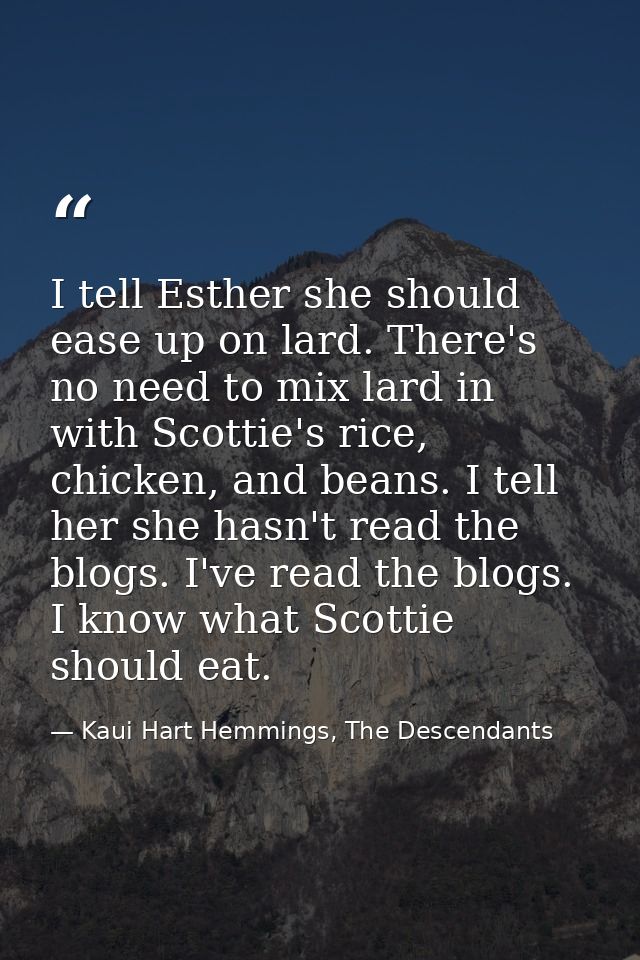 I tell Esther she should ease up on lard. There's no need to mix lard in with Scottie's rice, chicken, and beans. I tell — Kaui Hart Hemmings, The Descendants