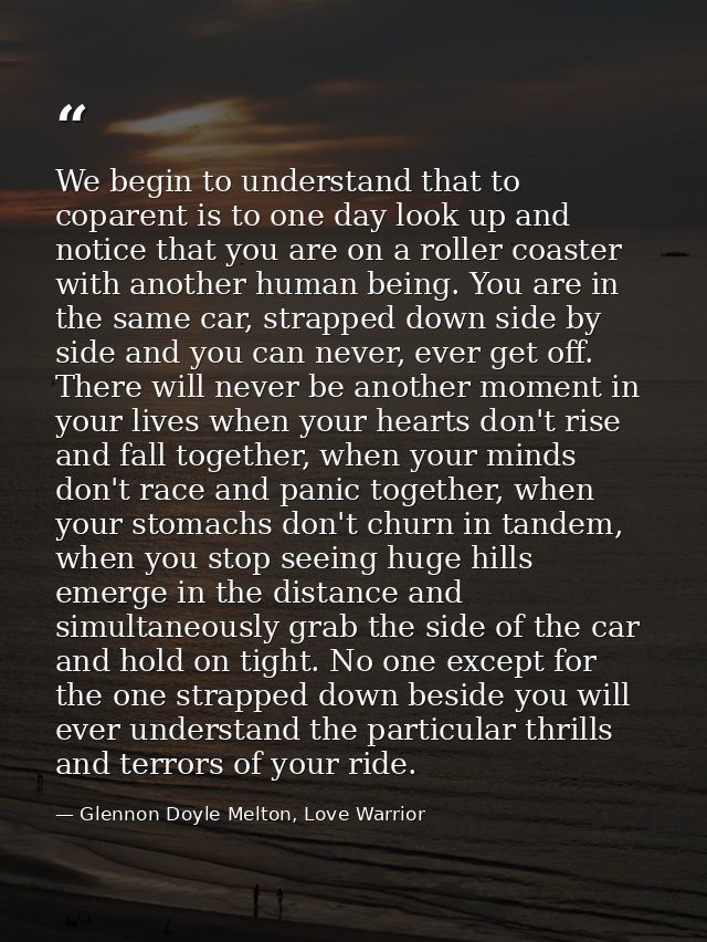 We begin to understand that to coparent is to one day look up and notice that you are on a roller coaster with another h — Glennon Doyle Melton, Love Warrior