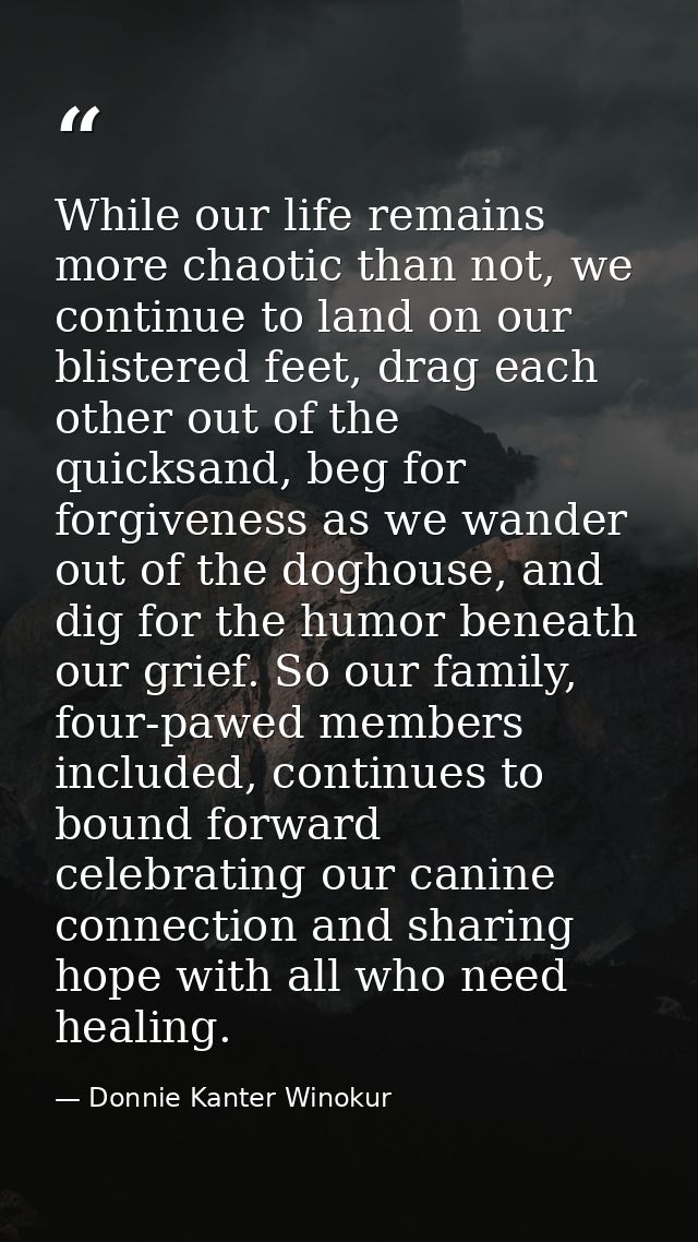 While our life remains more chaotic than not, we continue to land on our blistered feet, drag each other out of the quic — Donnie Kanter Winokur