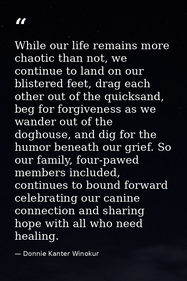 While our life remains more chaotic than not, we continue to land on our blistered feet, drag each other out of the quic — Donnie Kanter Winokur