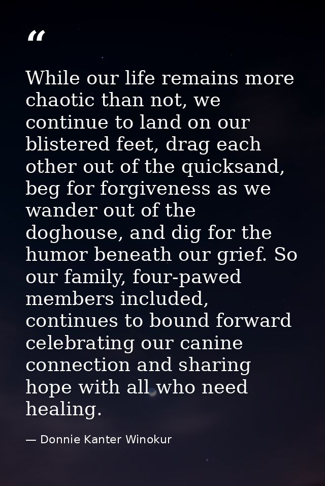 While our life remains more chaotic than not, we continue to land on our blistered feet, drag each other out of the quic — Donnie Kanter Winokur
