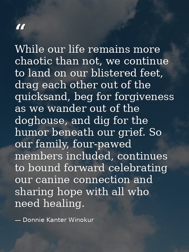 While our life remains more chaotic than not, we continue to land on our blistered feet, drag each other out of the quic — Donnie Kanter Winokur
