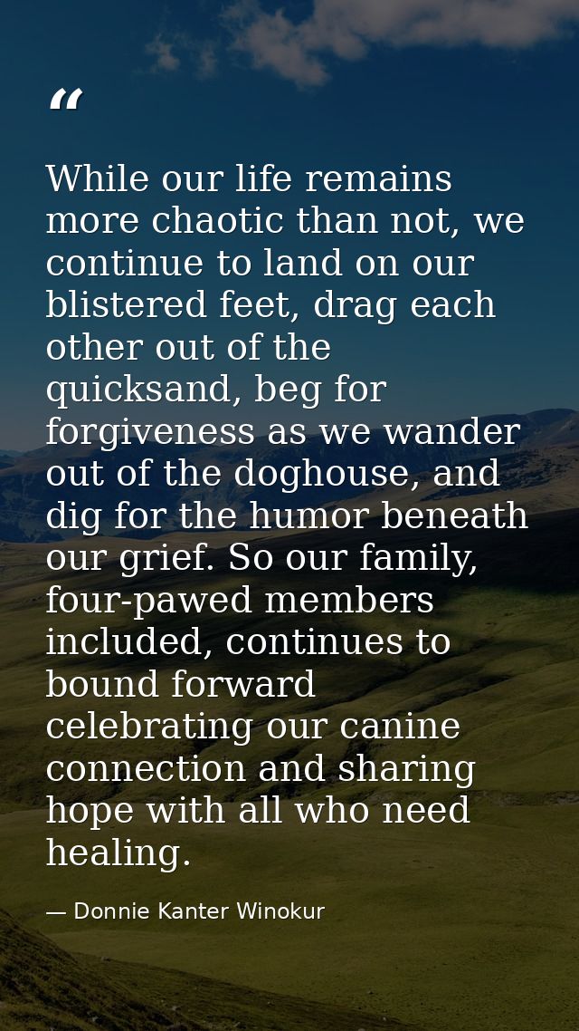 While our life remains more chaotic than not, we continue to land on our blistered feet, drag each other out of the quic — Donnie Kanter Winokur
