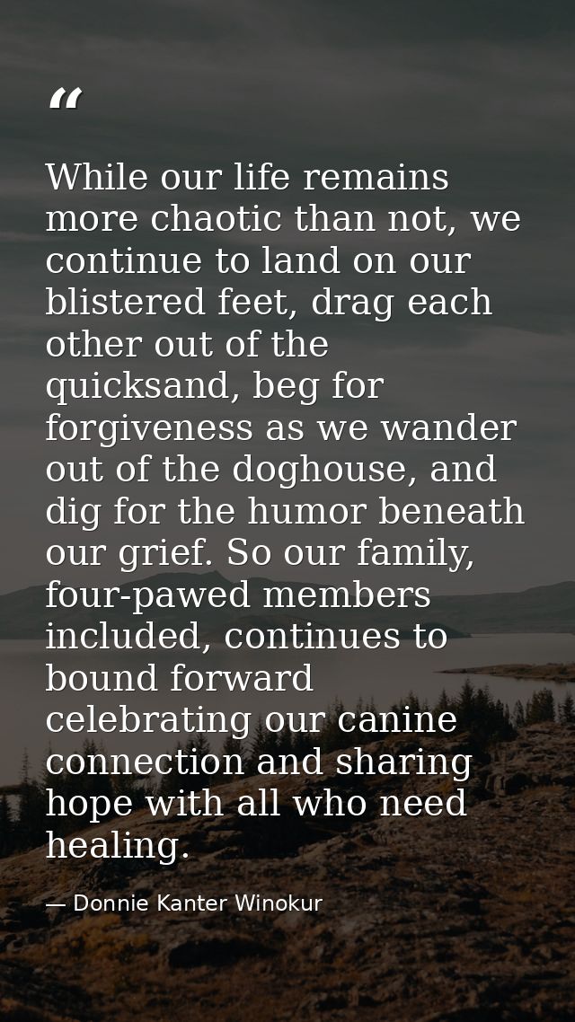 While our life remains more chaotic than not, we continue to land on our blistered feet, drag each other out of the quic — Donnie Kanter Winokur