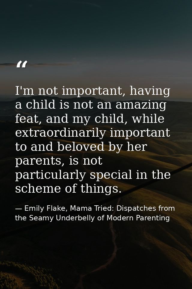 I'm not important, having a child is not an amazing feat, and my child, while extraordinarily important to and beloved b — Emily Flake, Mama Tried: Dispatches from the Seamy Underbelly of Modern Parenting