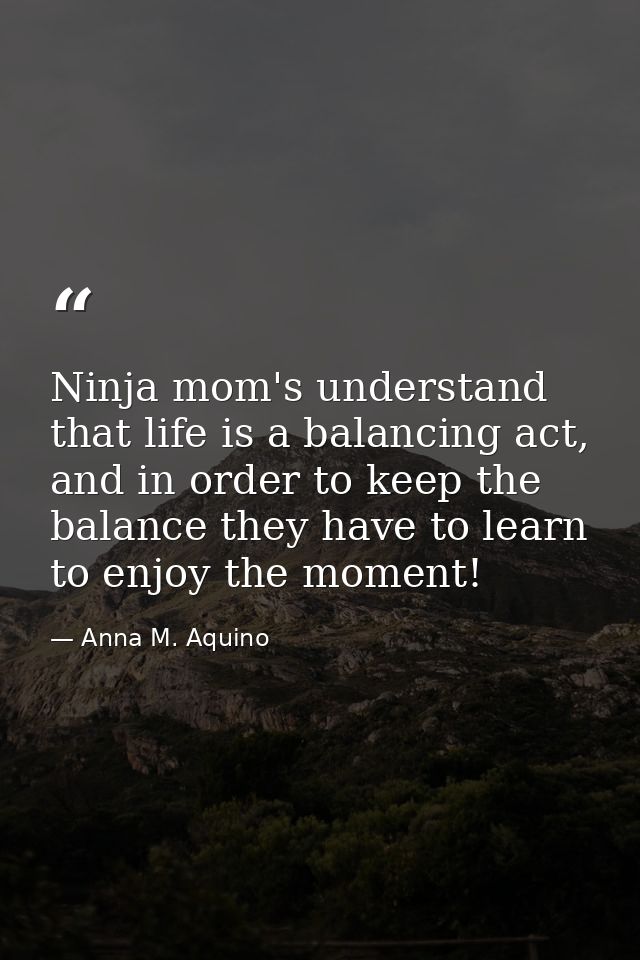 Ninja mom's understand that life is a balancing act, and in order to keep the balance they have to learn to enjoy the mo — Anna M. Aquino