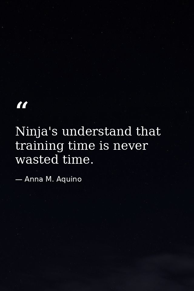 Ninja's understand that training time is never wasted time. — Anna M. Aquino