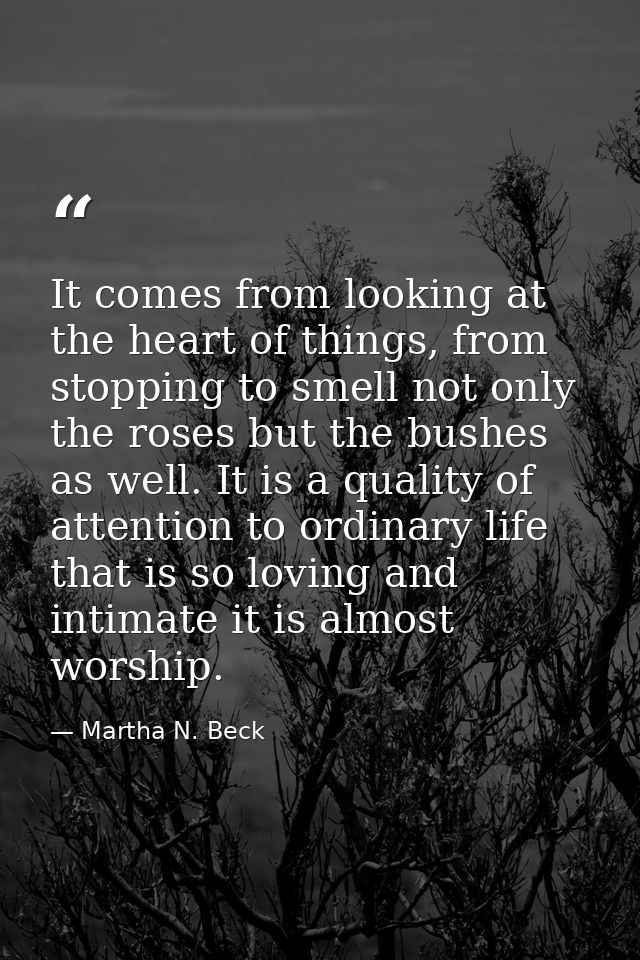 It comes from looking at the heart of things, from stopping to smell not only the roses but the bushes as well. It is a  — Martha N. Beck