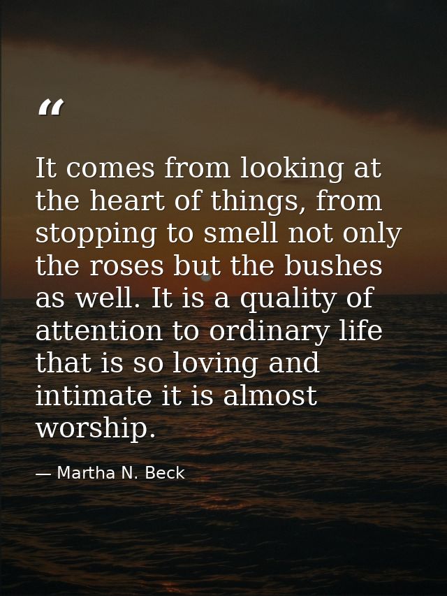 It comes from looking at the heart of things, from stopping to smell not only the roses but the bushes as well. It is a  — Martha N. Beck