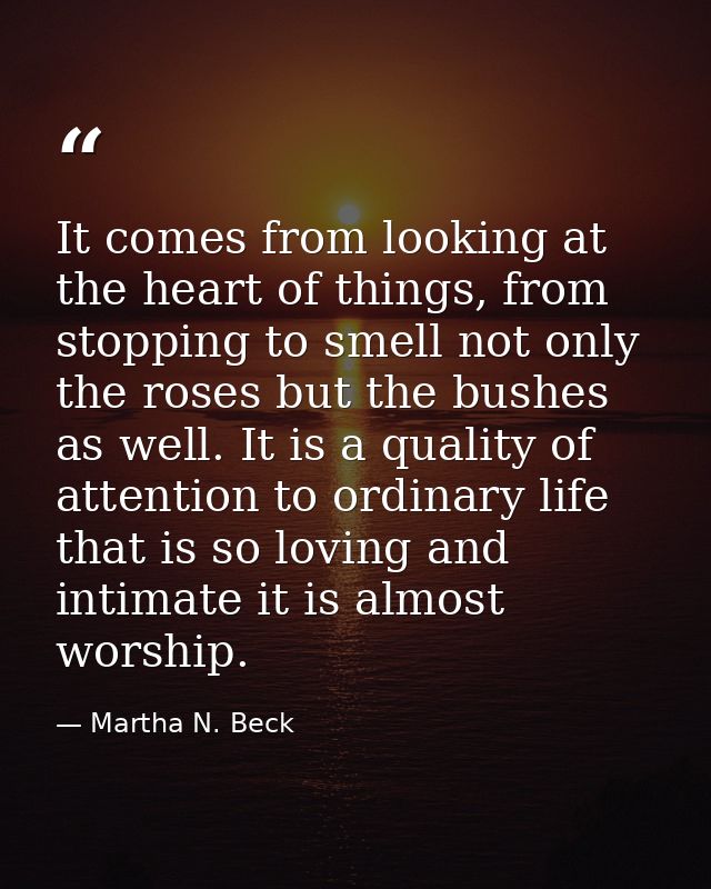 It comes from looking at the heart of things, from stopping to smell not only the roses but the bushes as well. It is a  — Martha N. Beck