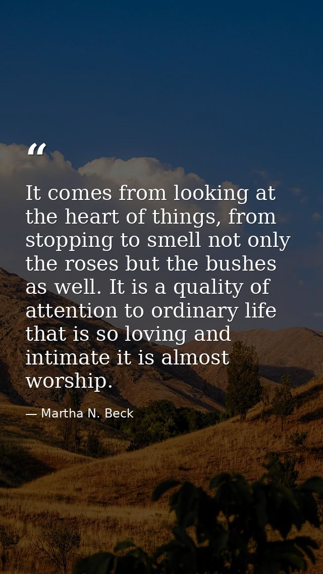 It comes from looking at the heart of things, from stopping to smell not only the roses but the bushes as well. It is a  — Martha N. Beck