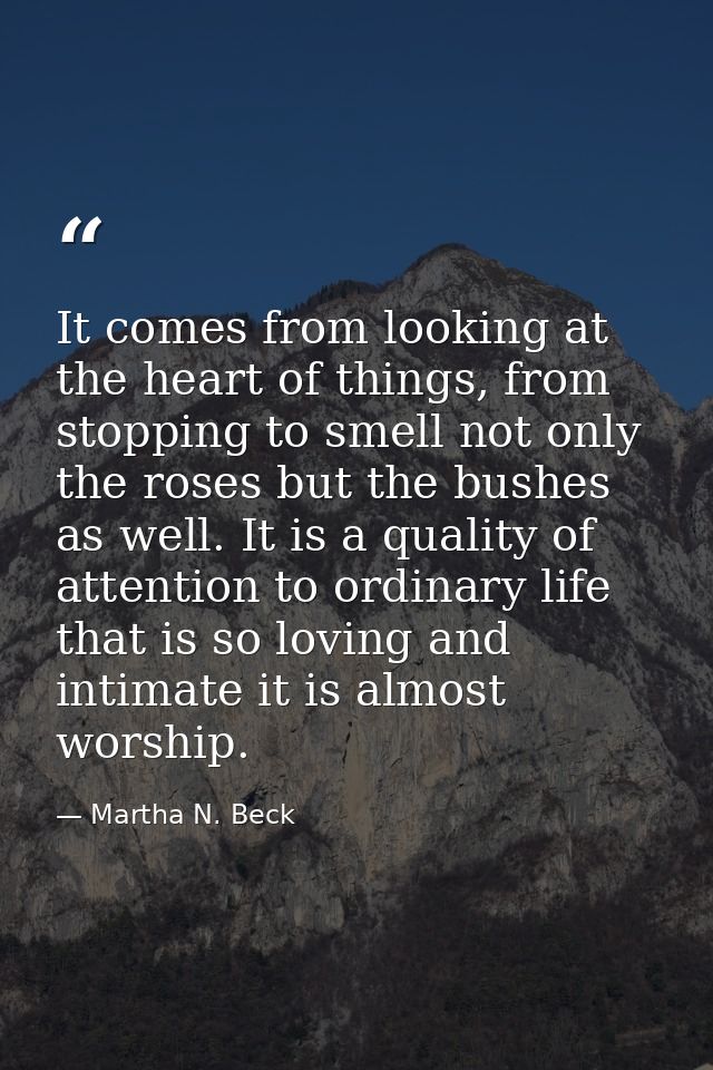 It comes from looking at the heart of things, from stopping to smell not only the roses but the bushes as well. It is a  — Martha N. Beck