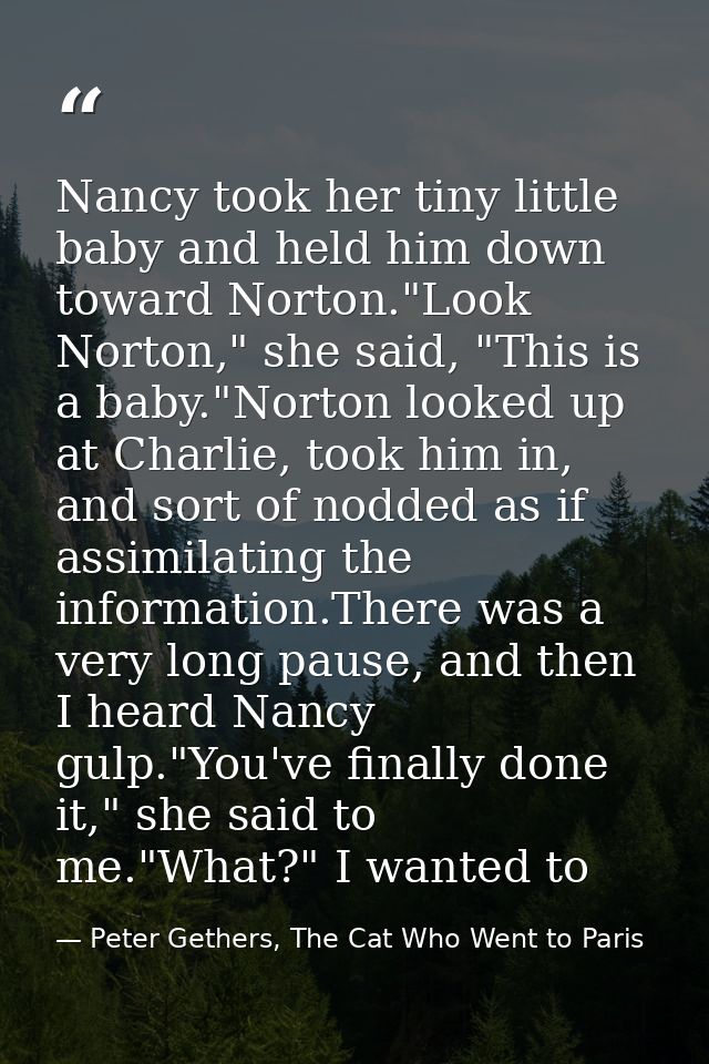 Nancy took her tiny little baby and held him down toward Norton."Look Norton," she said, "This is a baby."Norton looked  — Peter Gethers, The Cat Who Went to Paris