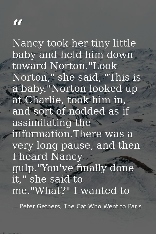 Nancy took her tiny little baby and held him down toward Norton."Look Norton," she said, "This is a baby."Norton looked  — Peter Gethers, The Cat Who Went to Paris