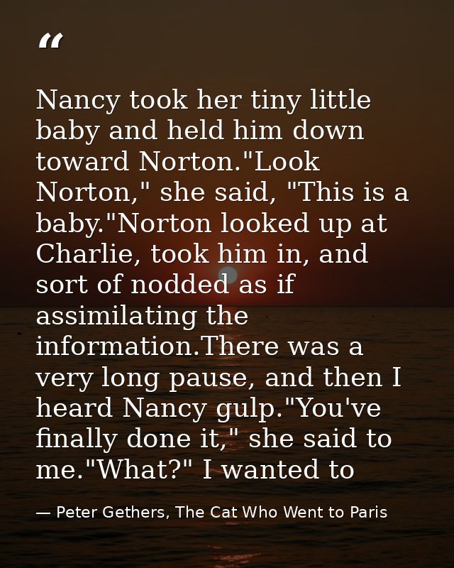 Nancy took her tiny little baby and held him down toward Norton."Look Norton," she said, "This is a baby."Norton looked  — Peter Gethers, The Cat Who Went to Paris