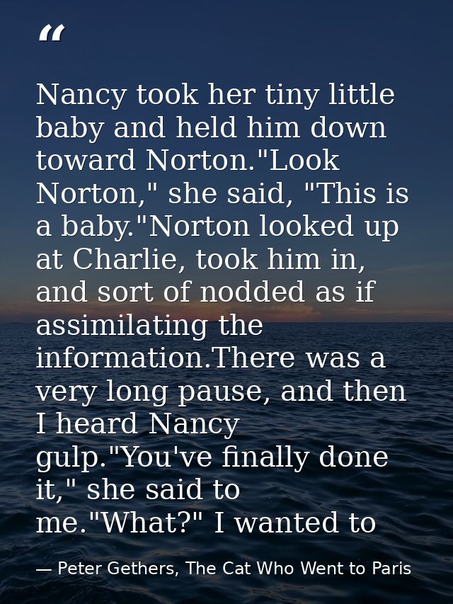 Nancy took her tiny little baby and held him down toward Norton."Look Norton," she said, "This is a baby."Norton looked  — Peter Gethers, The Cat Who Went to Paris