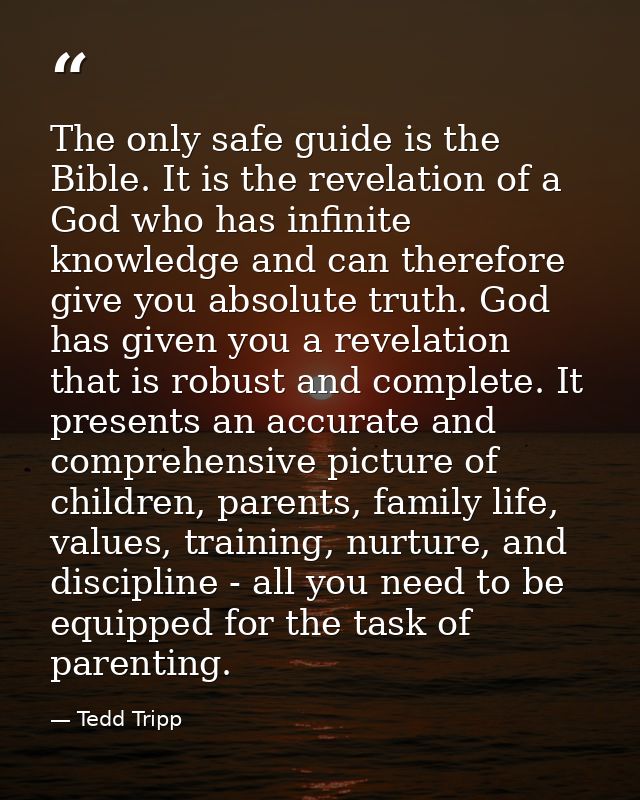 The only safe guide is the Bible. It is the revelation of a God who has infinite knowledge and can therefore give you ab — Tedd Tripp