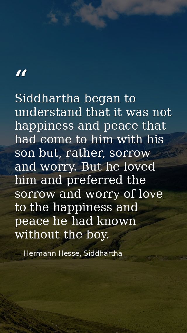 Siddhartha began to understand that it was not happiness and peace that had come to him with his son but, rather, sorrow — Hermann Hesse, Siddhartha