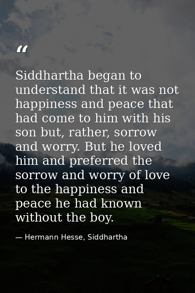 Siddhartha began to understand that it was not happiness and peace that had come to him with his son but, rather, sorrow — Hermann Hesse, Siddhartha