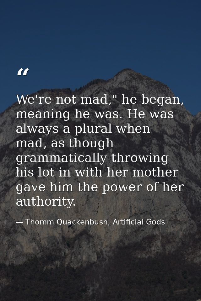 We're not mad," he began, meaning he was. He was always a plural when mad, as though grammatically throwing his lot in w — Thomm Quackenbush, Artificial Gods