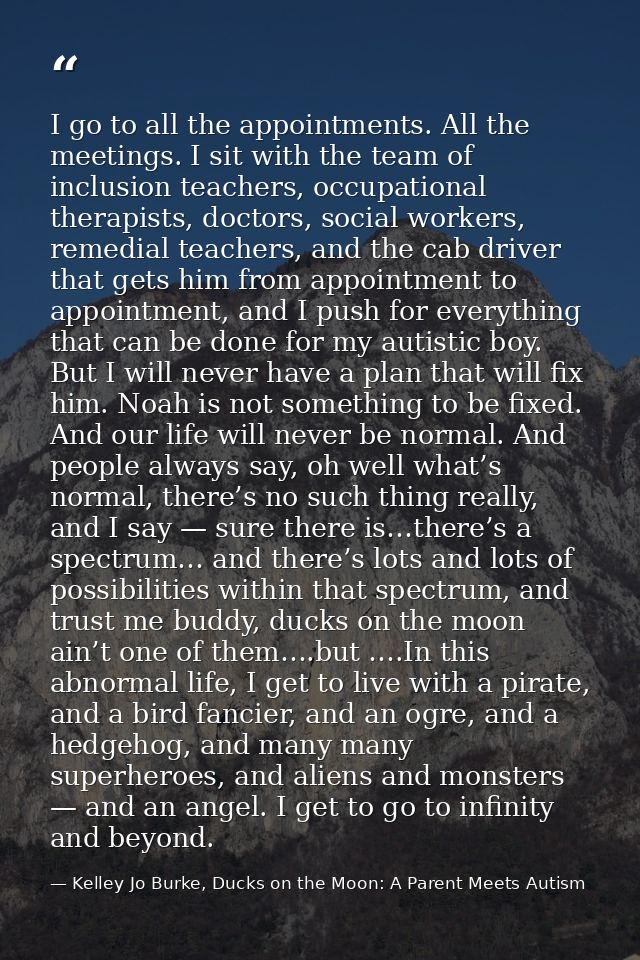 I go to all the appointments. All the meetings. I sit with the team of inclusion teachers, occupational therapists, doct — Kelley Jo Burke, Ducks on the Moon: A Parent Meets Autism
