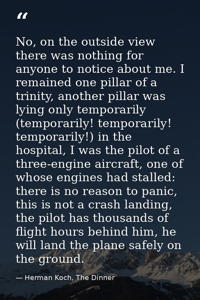 No, on the outside view there was nothing for anyone to notice about me. I remained one pillar of a trinity, another pil — Herman Koch, The Dinner