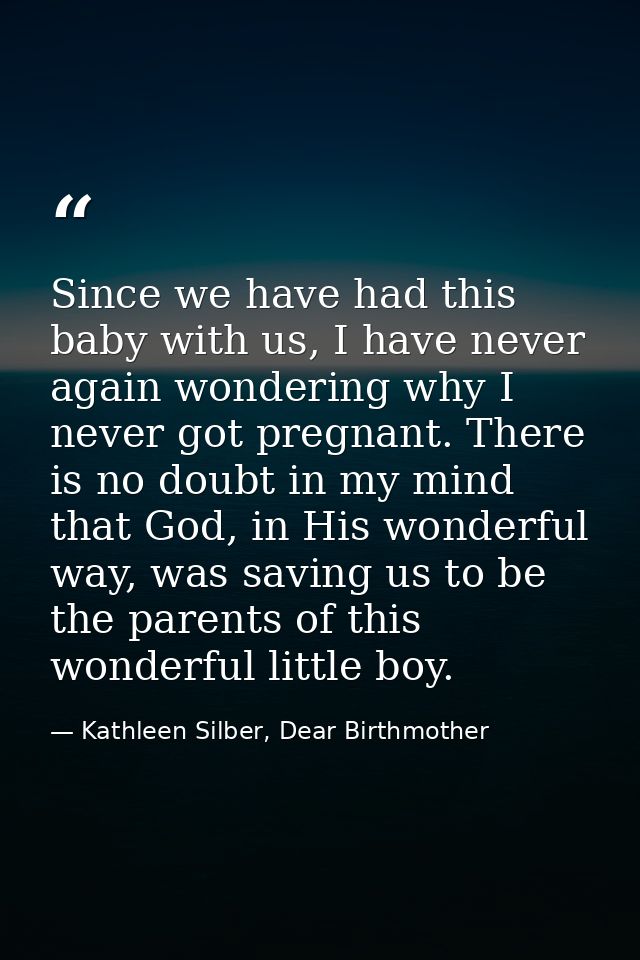 Since we have had this baby with us, I have never again wondering why I never got pregnant. There is no doubt in my mind — Kathleen Silber, Dear Birthmother