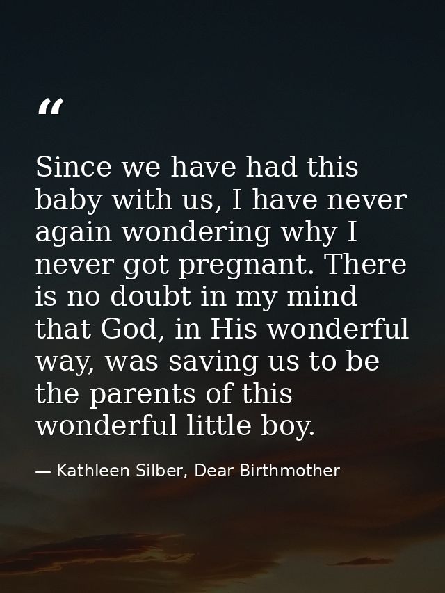 Since we have had this baby with us, I have never again wondering why I never got pregnant. There is no doubt in my mind — Kathleen Silber, Dear Birthmother