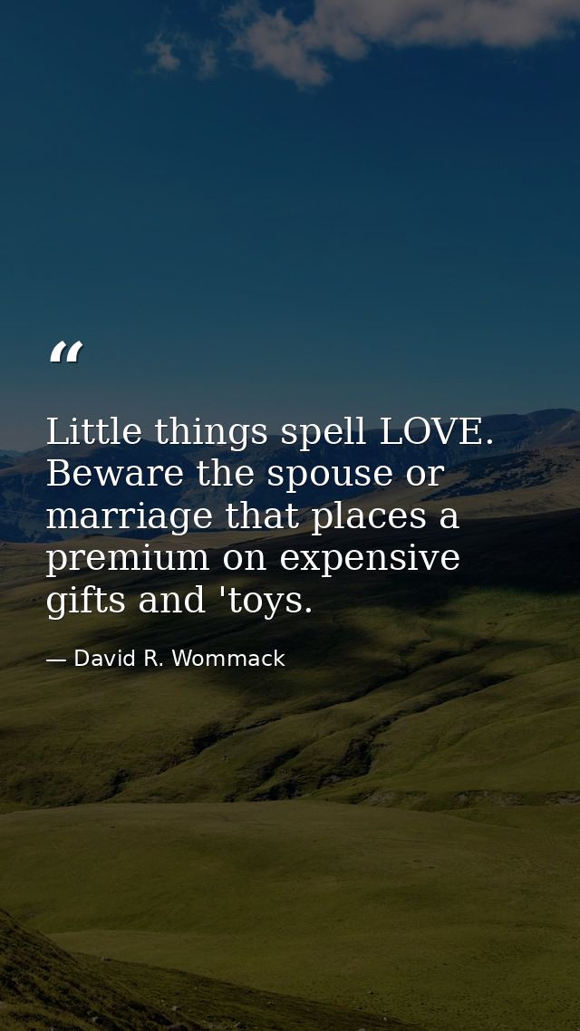 Little things spell LOVE. Beware the spouse or marriage that places a premium on expensive gifts and 'toys. — David R. Wommack