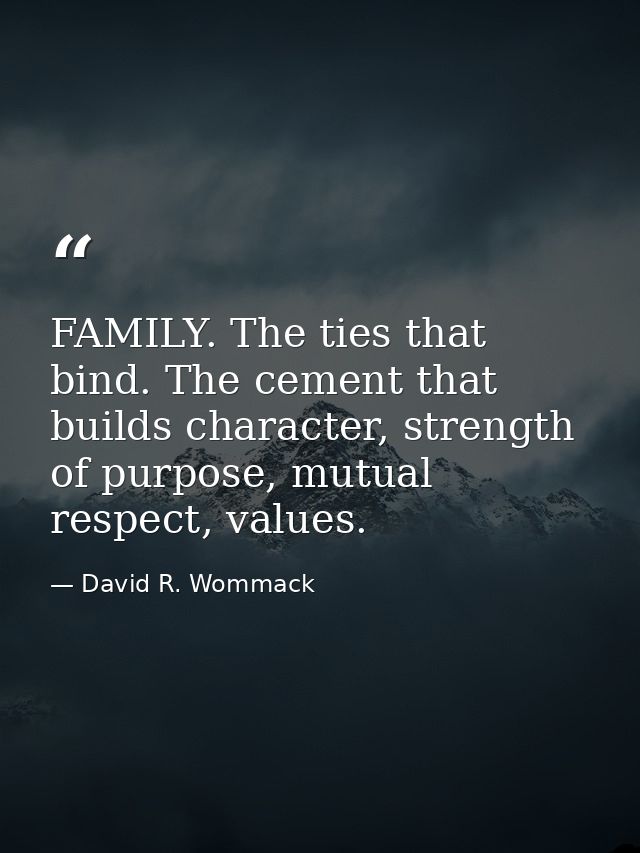 FAMILY. The ties that bind. The cement that builds character, strength of purpose, mutual respect, values. — David R. Wommack