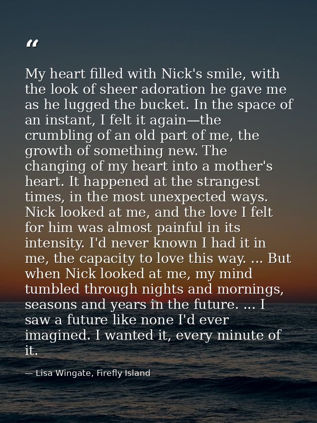 My heart filled with Nick's smile, with the look of sheer adoration he gave me as he lugged the bucket. In the space of  — Lisa Wingate, Firefly Island