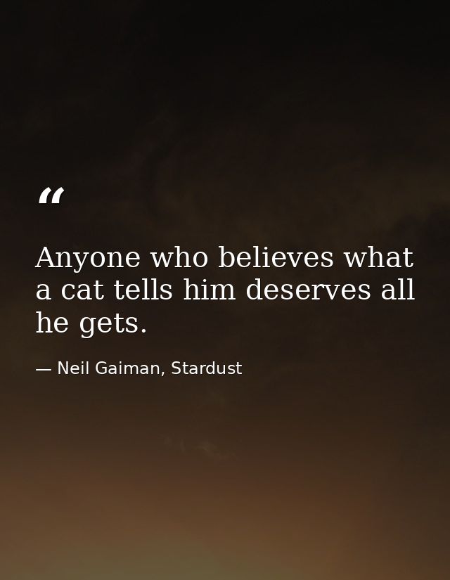 Anyone who believes what a cat tells him deserves all he gets. — Neil Gaiman, Stardust