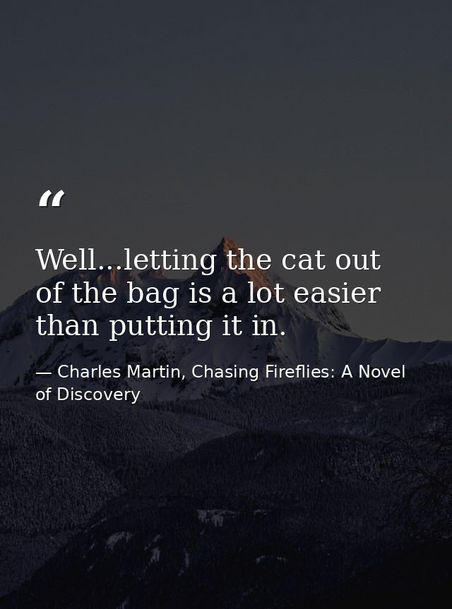 Well...letting the cat out of the bag is a lot easier than putting it in. — Charles Martin, Chasing Fireflies: A Novel of Discovery