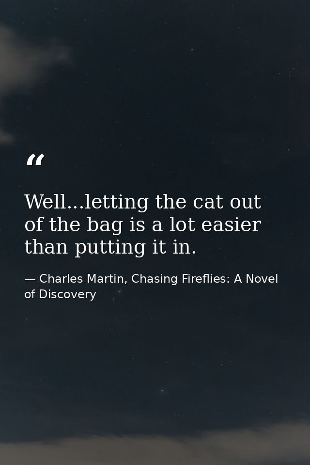 Well...letting the cat out of the bag is a lot easier than putting it in. — Charles Martin, Chasing Fireflies: A Novel of Discovery