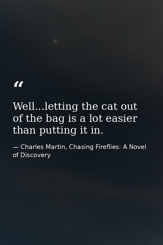 Well...letting the cat out of the bag is a lot easier than putting it in. — Charles Martin, Chasing Fireflies: A Novel of Discovery
