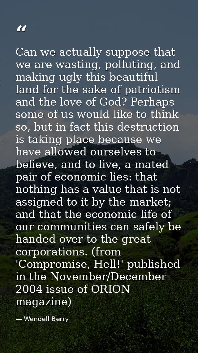 Can we actually suppose that we are wasting, polluting, and making ugly this beautiful land for the sake of patriotism a — Wendell Berry