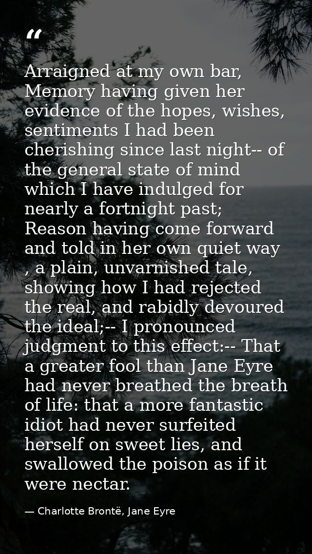 Arraigned at my own bar, Memory having given her evidence of the hopes, wishes, sentiments I had been cherishing since l — Charlotte Brontë, Jane Eyre